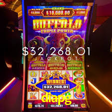 Daily Bonuses diapg